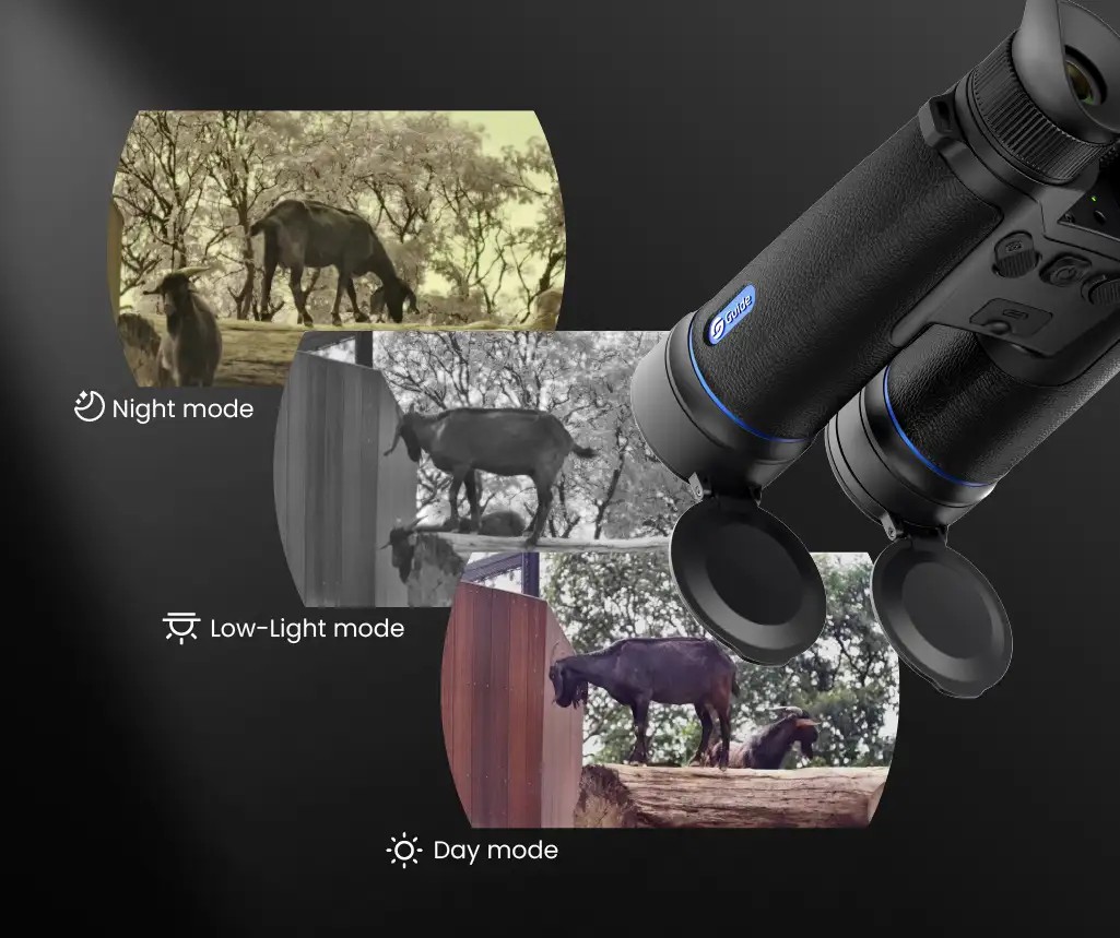 How Handheld Digital Binoculars Improve Scouting Before the Hunt